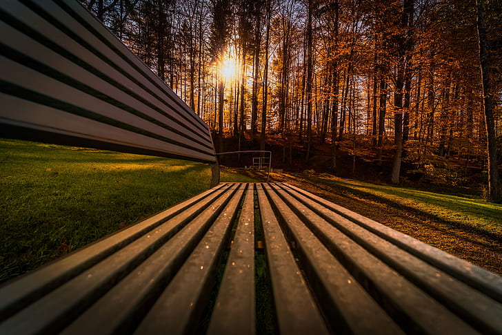 Royalty-Free photo: Photo of bench near trees | PickPik