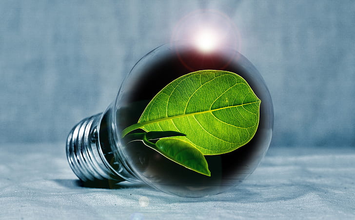 illustration of light bulb with green leaf