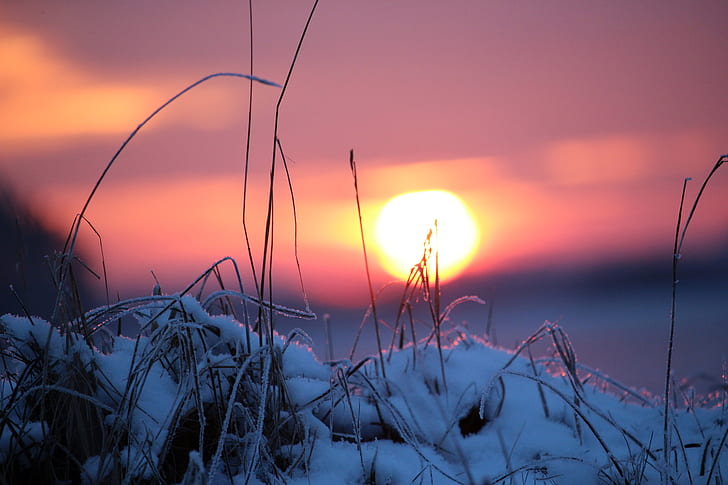 sunset, snow, winter, wintry, sun, afterglow
