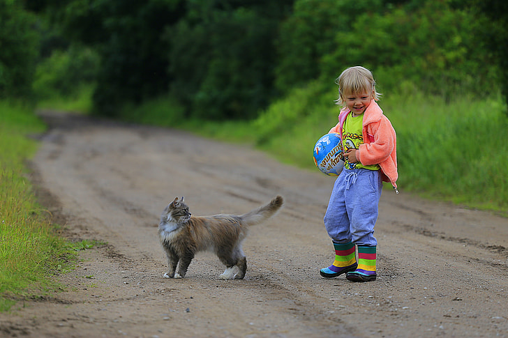 toddler wearing pink jacket standing near brown cat on road