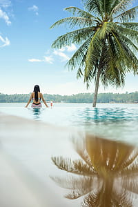 woman in bikini sitting on pool near green coconut tree during daytime