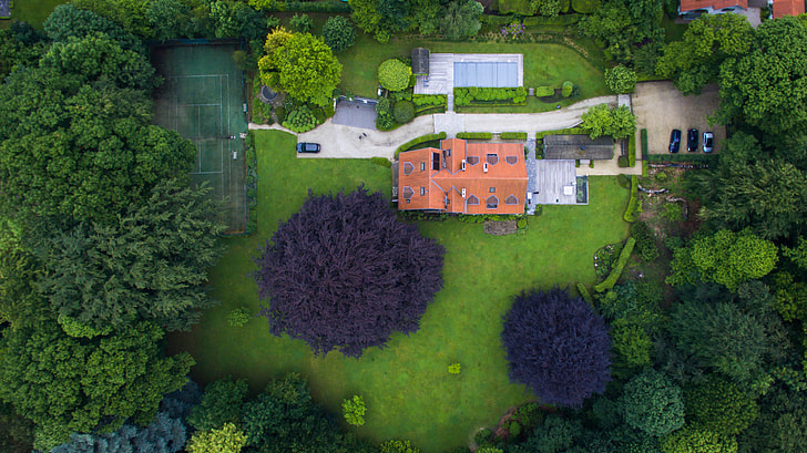 aerial photo of mansion