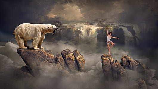 white bear on rock formation and woman standing