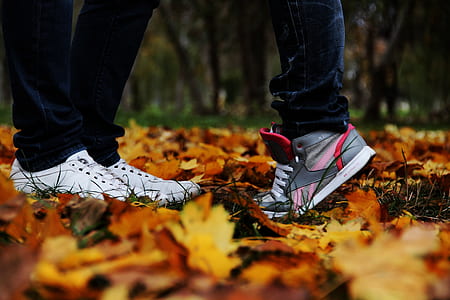 two people standing on brown leaves