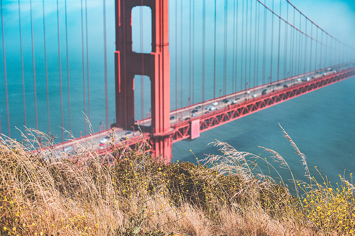 Grass with Golden Gate Bridge in Background