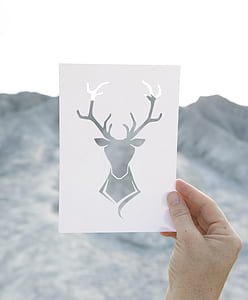 person holding deer-themed card