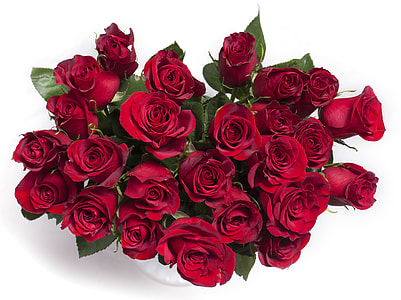 bouquet of red roses
