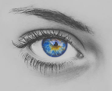 woman's eye sketch