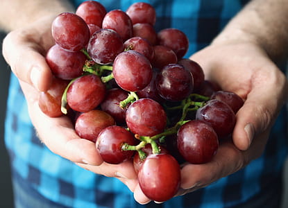 person holding grape fruits