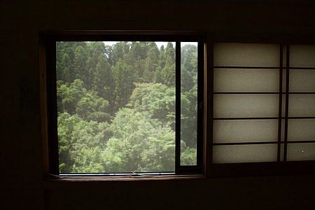 rain pouring outside a window with view of green trees
