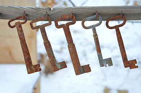 shallow focus photo of four hanging brown and one gray skeleton keys