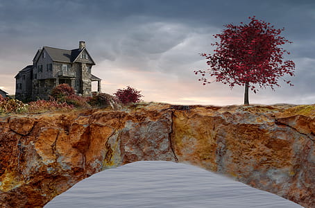 concrete house beside red tree on cliff
