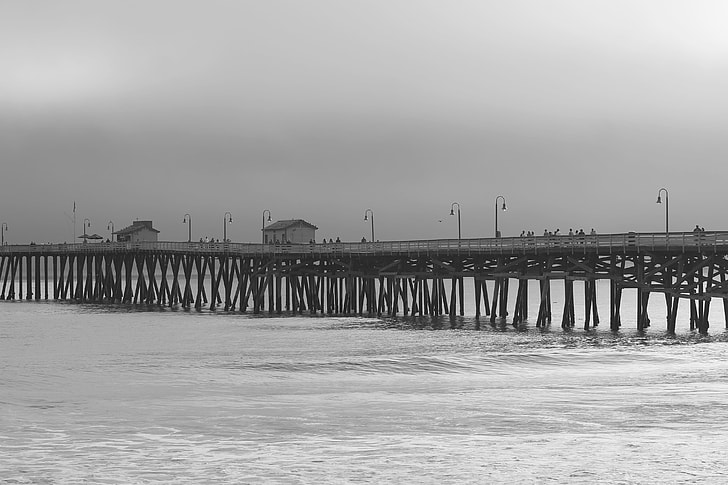 greyscale photography of boardwalk
