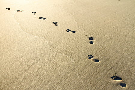 sand footprints during daytime
