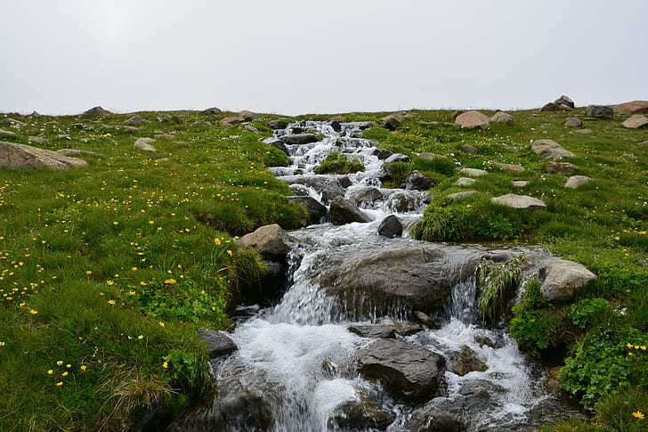 stream between grass covered land