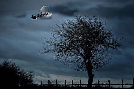 silhouette of flying reindeers with sleight under full moon during night time