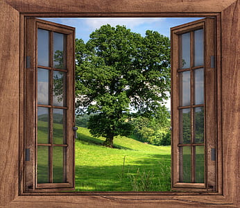 closeup photography of brown wooden open window front of green leaf tree