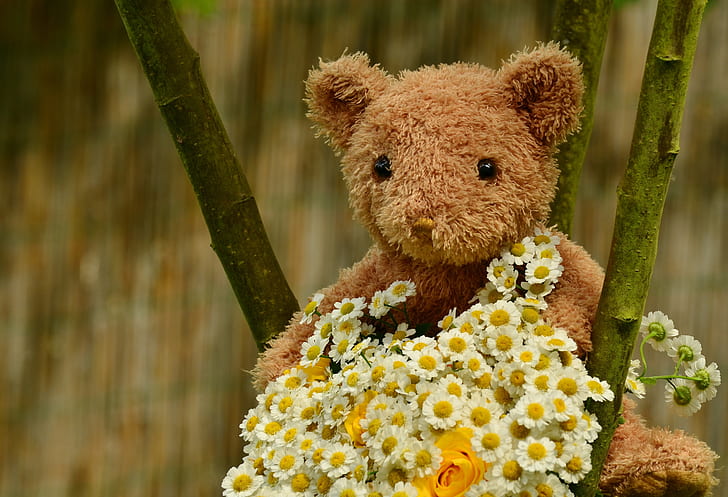 closeup photography of brown bear plush toy with bouquet of flowers