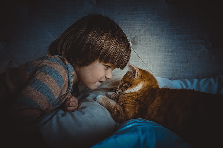 boy and cat lying on bed