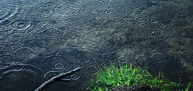 photo of body of water with droplets