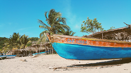 teal and orange canoe on seashore during daytime