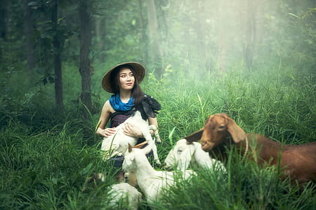 photo of a woman holding white goat in the middle of forest