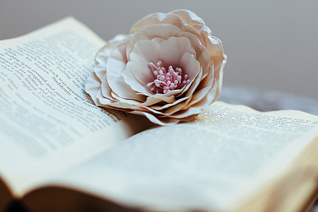 Open book and flower