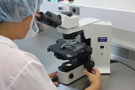 person using microscope