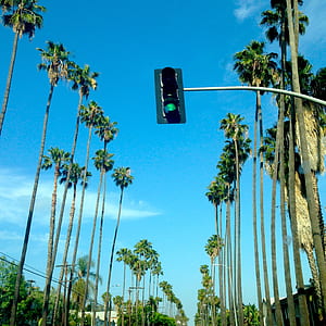 Traffic Light at Green