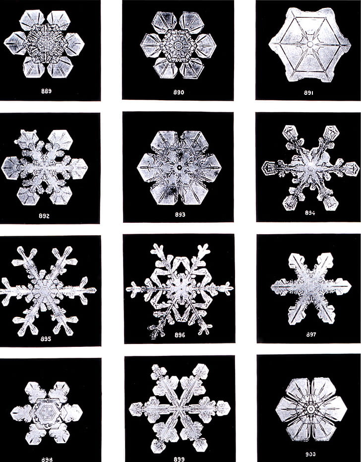 twelve assorted snow flakes collage