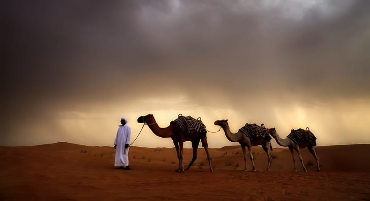 man with white thobe beside three brown camels on brown desert