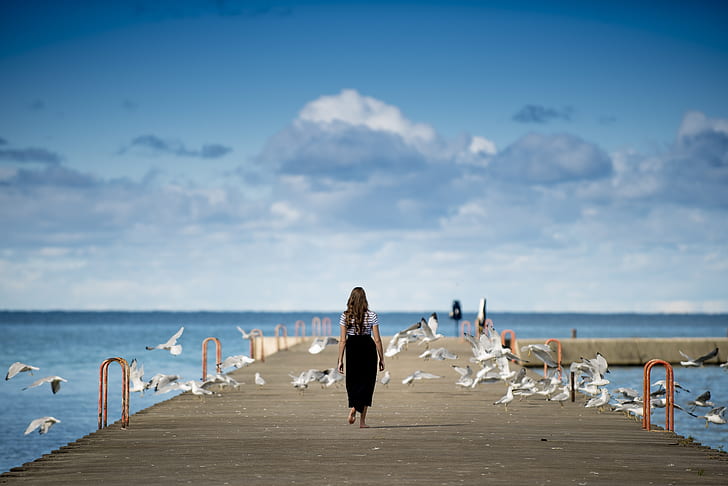 woman walking on dock overlooking beach with birds around under blue sky