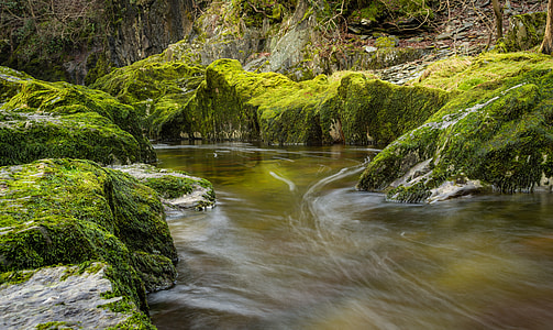 time-lapse photography of running river water surrounded with green moss covered gray rocks during daytime