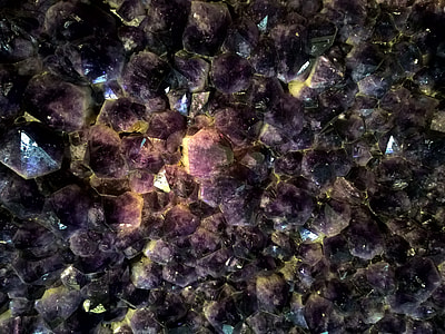 closeup photo of purple surface