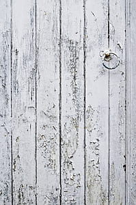 white wooden door with door knocker