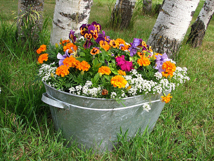 beverage tub filled with assorted-color flowers