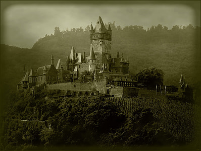 grayscale photo of castle