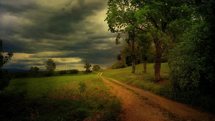 landscape photo of pathway with green grass under white clouds