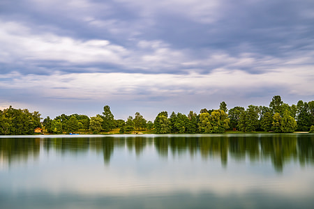 body of water surrounded by trees