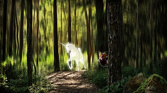 unicorn on forest during daytime