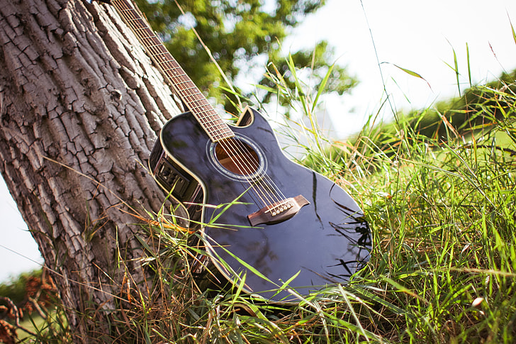 Guitar In Sunny Grass