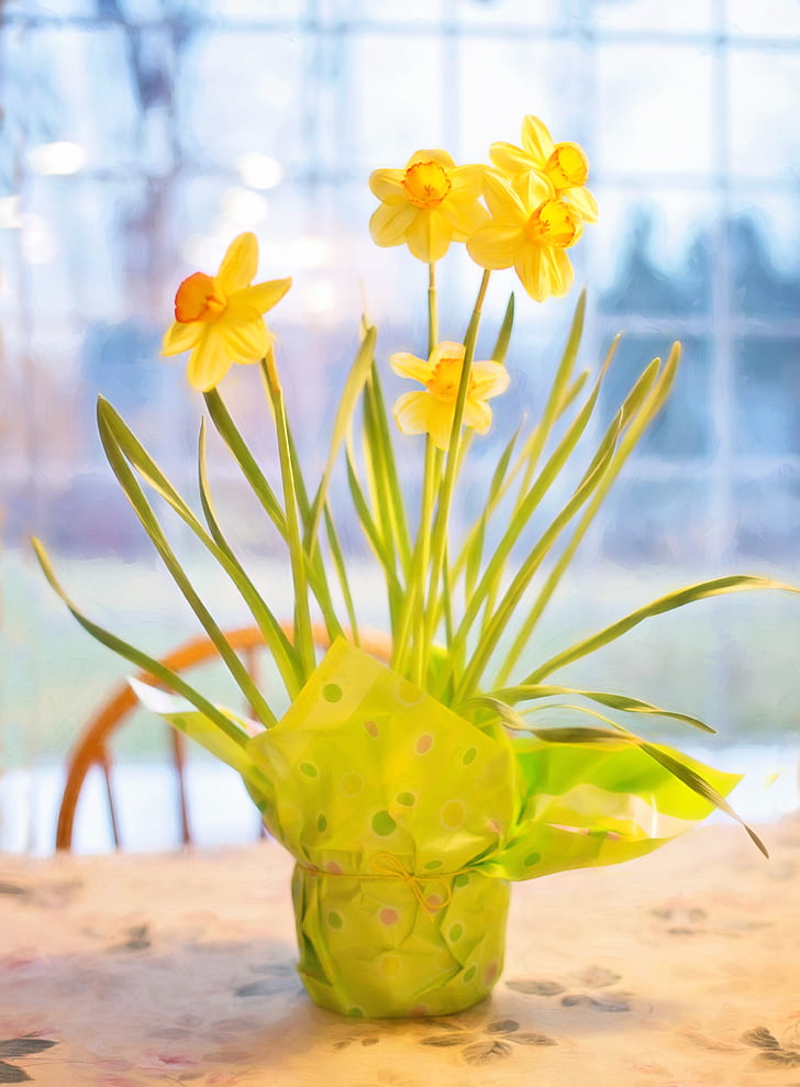 yellow daffodil flower arrangement in green wrapper