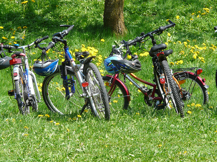 bicycles at grass field