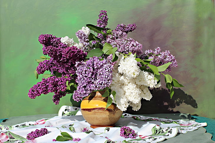 still life photography of white and purple petaled flowers