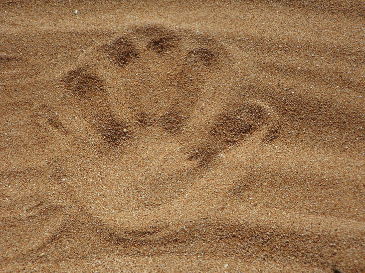 Palm Print on Sand