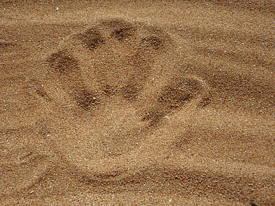 Palm Print on Sand