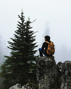 close up photo of man sitting on the rock in front of pine tree