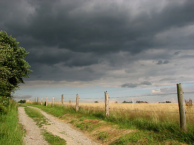 landscape photo of green field