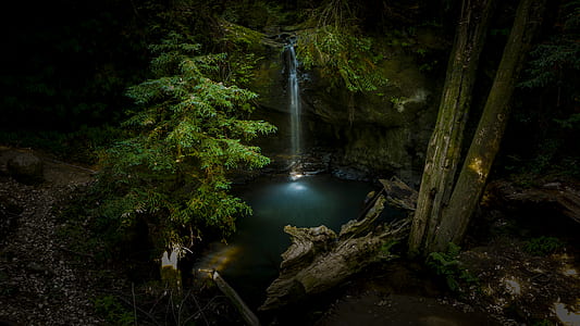 waterfalls between trees at daytime