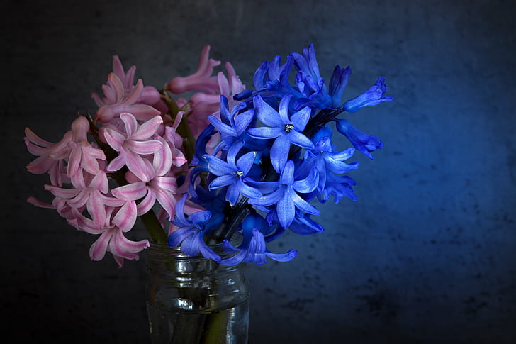 bouquet of pink and blue flowers on clear glass vase